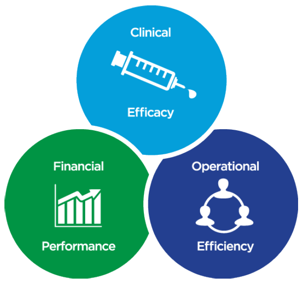 Image of three connected circles related to Vital Edge - Clinical Efficacy, Financial Performance and Operational Efficiency